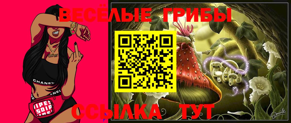 Ачинск  Галлюциногенные грибы Magic Shrooms  Вход с VPN 