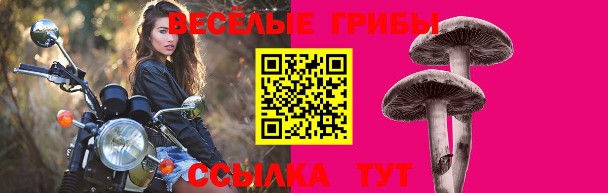 Псилоцибиновые грибы мухоморы Ачинск