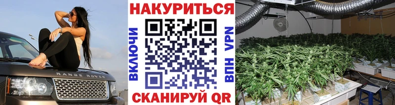 MEGA онион  где продают   Ачинск  Конопля OG Kush 